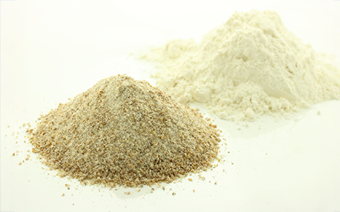 さまざまな粉末原料の写真
