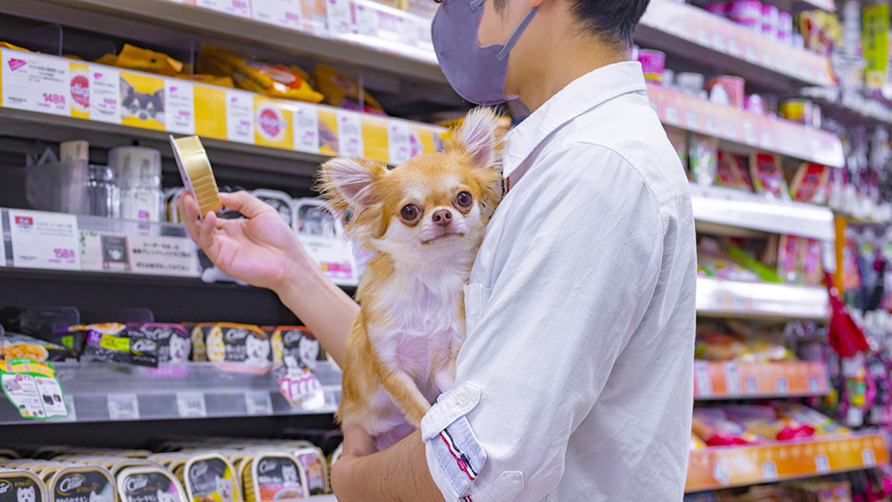 ペットフードを購入している男性に抱かれている犬の写真