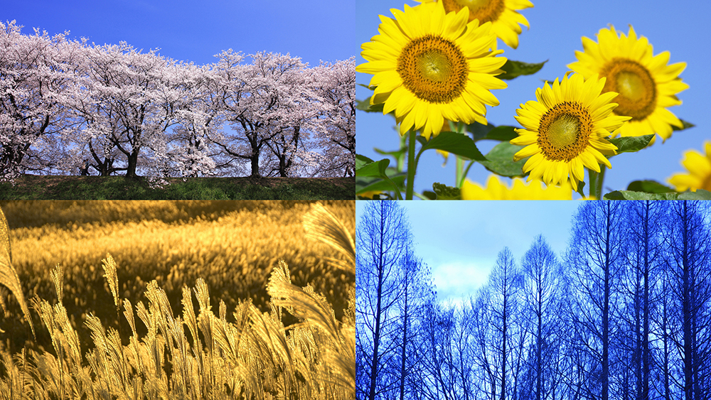 四季の風景が表示されている写真