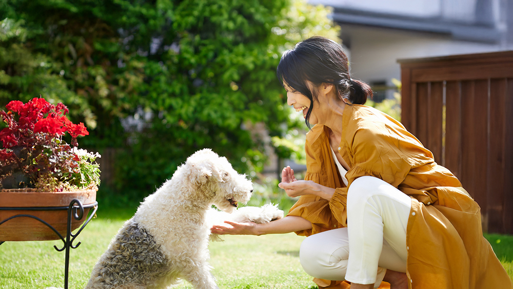 ペットの犬と戯れている女性の写真