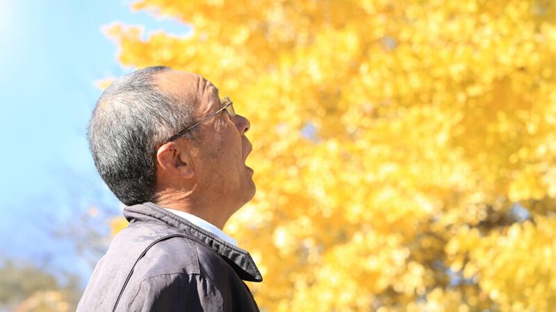 紅葉を口を開けて眺めているシニア男性の写真
