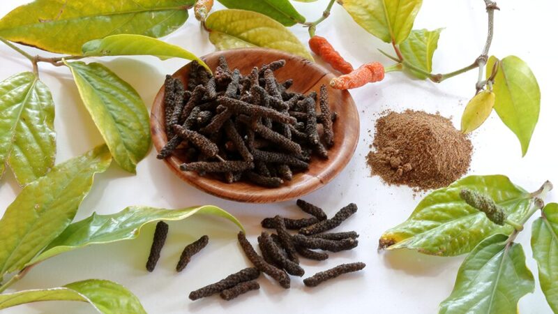 ヒハツと乾燥ヒハツ、茶色い粉末の写真