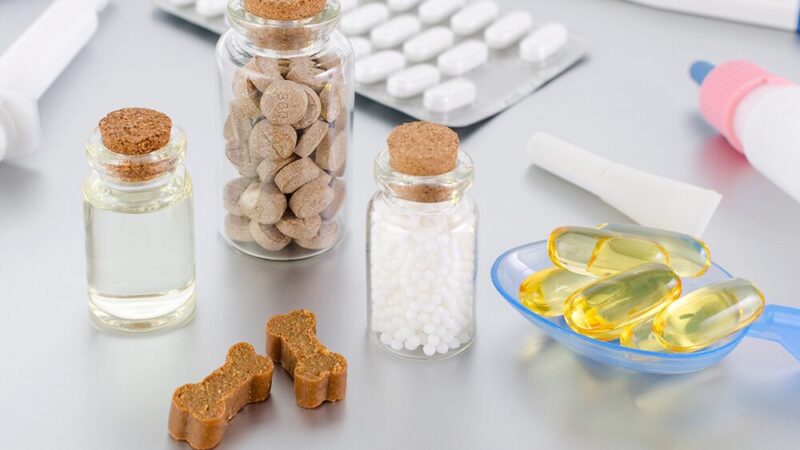 ドッグフードと種類の違う錠剤や液体が瓶に入っている写真