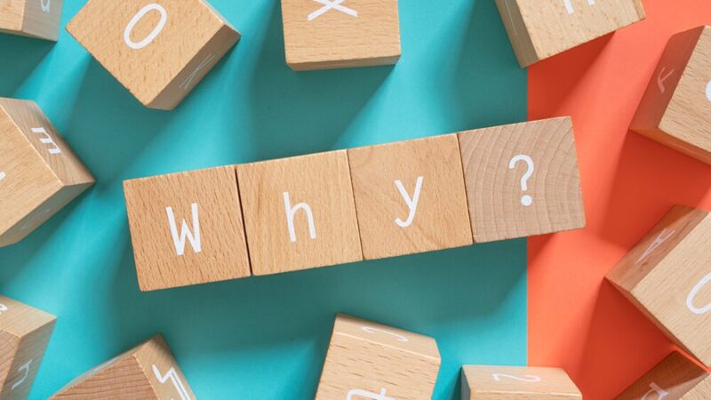 Why?と書いた木製ブロックの写真