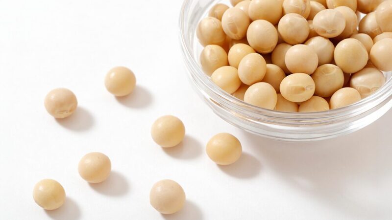 大豆の写真