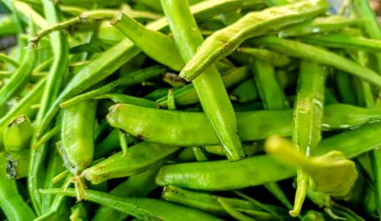 グァーガムのイメージ写真