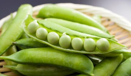 ピープロテイン（エンドウ豆プロテイン）のイメージ写真