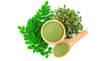 のイメージ画像