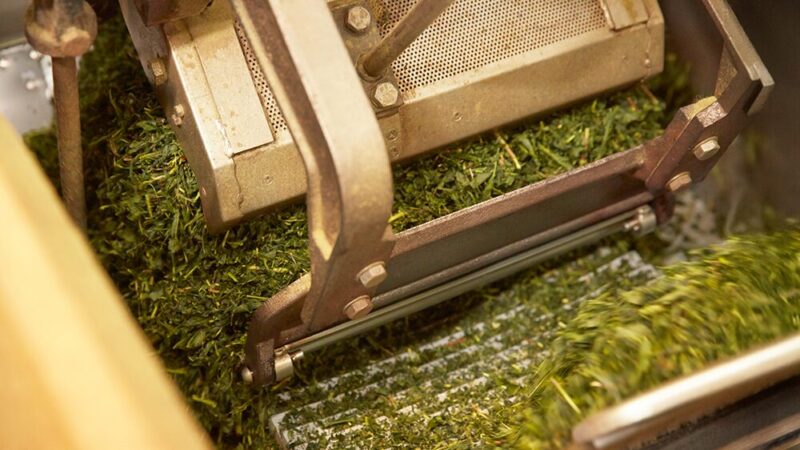 葉を粉砕している写真