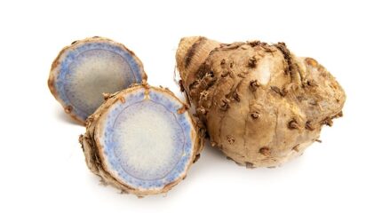 ガジュツ（紫ウコン）のイメージ写真