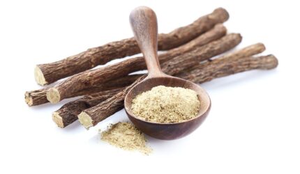 甘草（カンゾウ）のイメージ写真