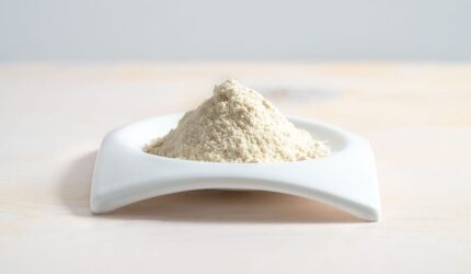 のイメージ画像